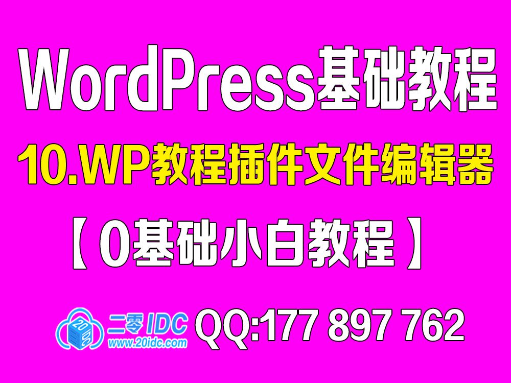 10.WordPress如何使用插件编辑器【0基础教程】哔哩哔哩bilibili