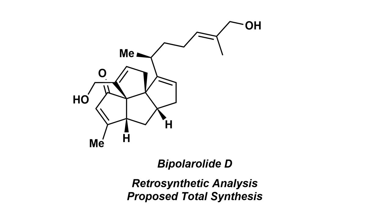 【全合成 | 逆合成分析 | 生肉】Bipolarolide D的逆合成分析哔哩哔哩bilibili