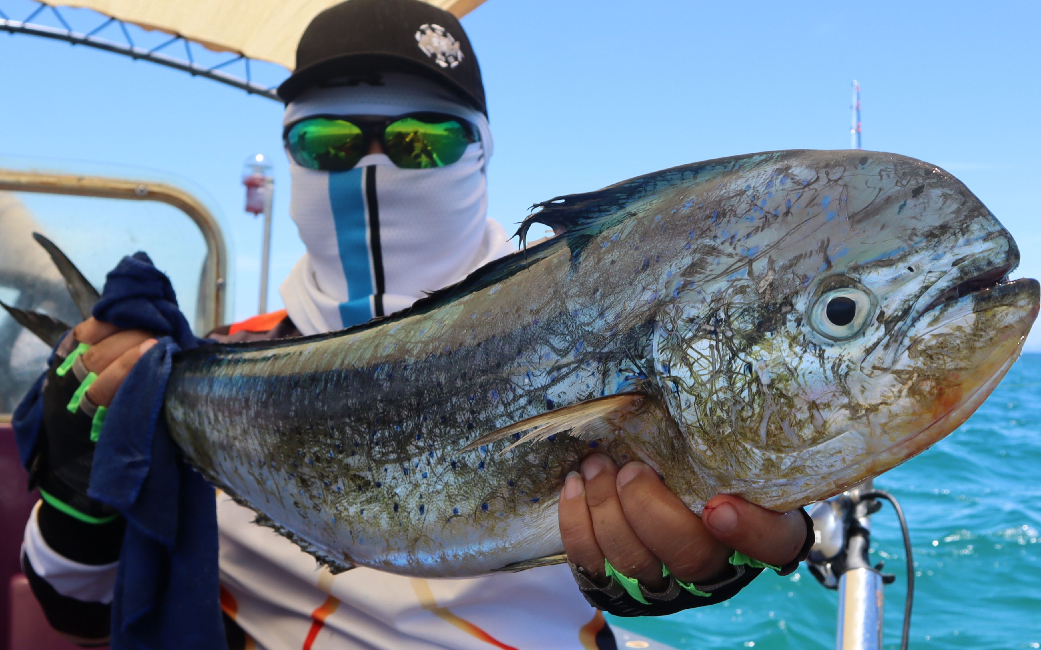 夏日拖钓,又中鬼头刀,表情出卖了心情_哔哩哔哩 (゜-゜)つロ 干杯
