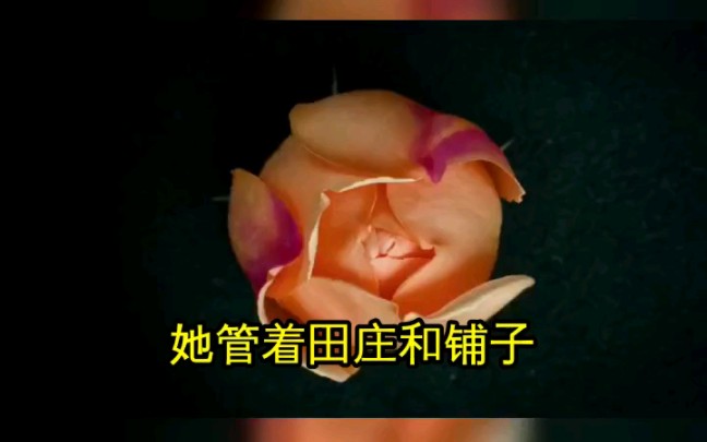 [图]【上错花轿嫁病弱权臣，被宠冠京城】一睁眼，沈青檀重生在大婚之日。前世青梅竹马的未婚夫赵钰陷害自己，并设计活活烧死了自己。重活一世，看她如何逆风翻盘。