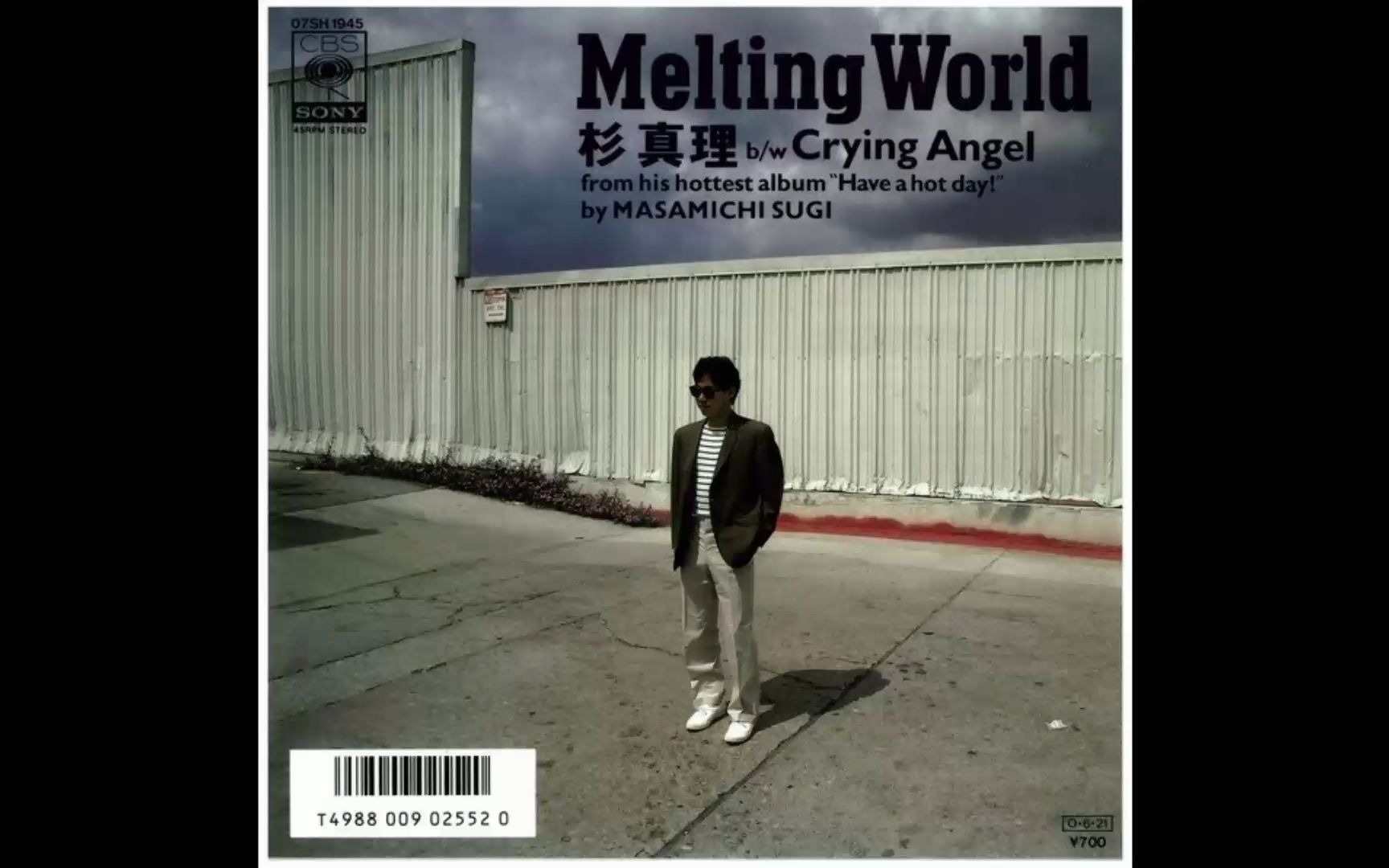 [图]杉真理 ‎– Melting World(1987)