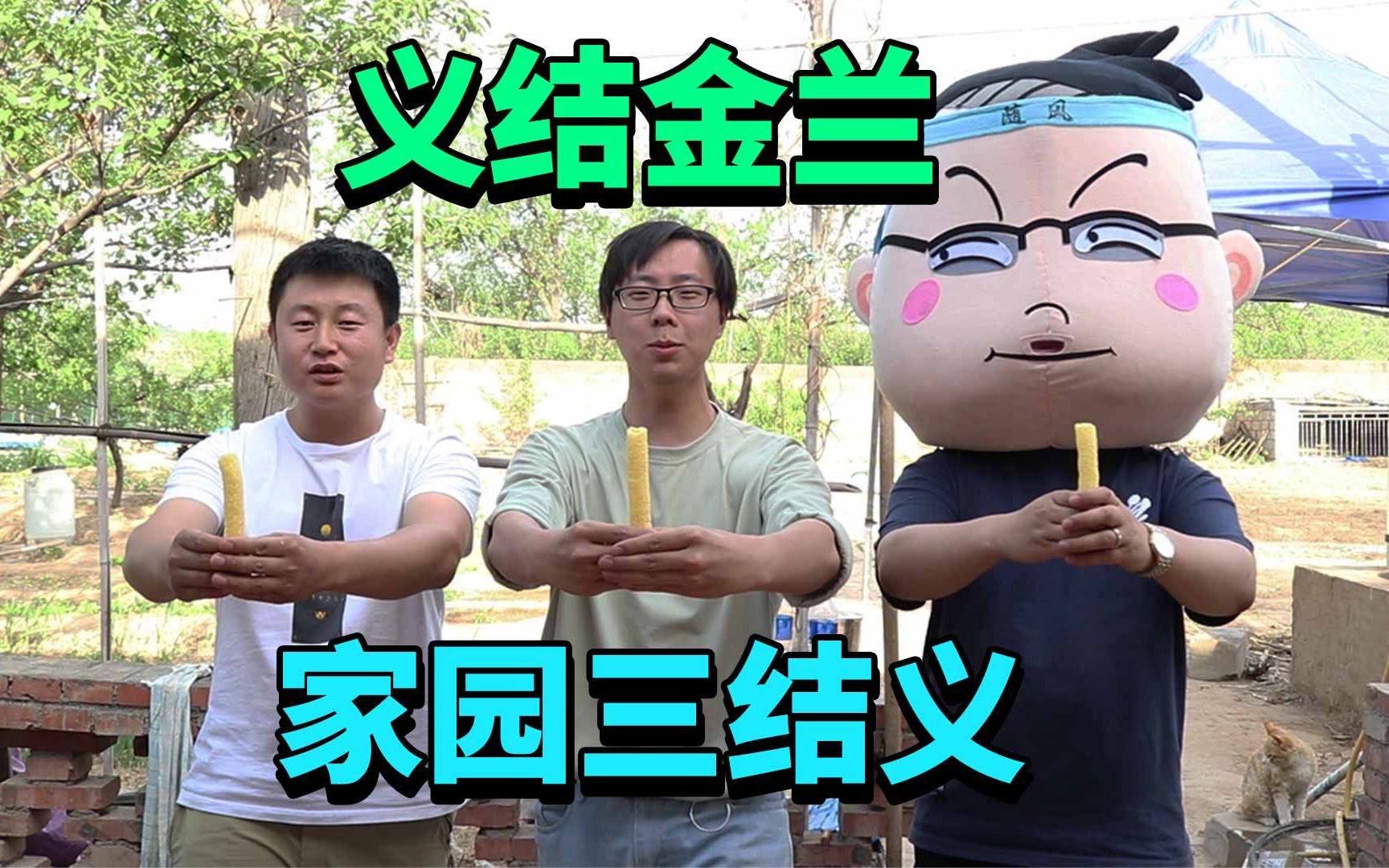 三郎vlog:随风柚子三郎结为异性兄弟!从此不再会勾心斗角?