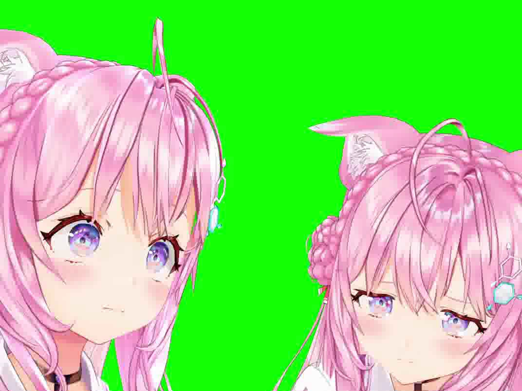 【三毛猫meme声音】×【 #koyomeme 】説教ネコヨーテミーム #shorts