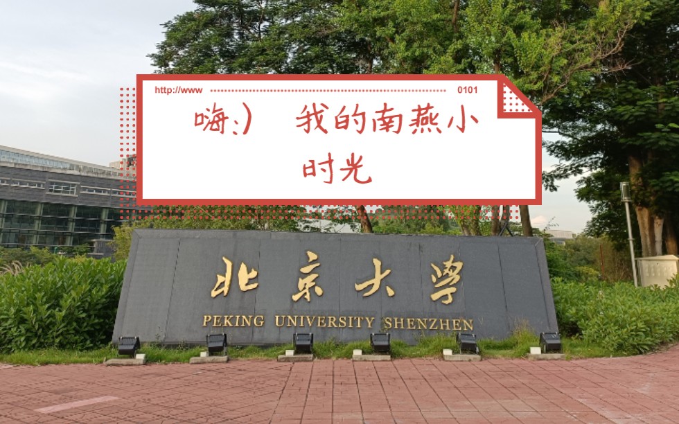 北京大学深圳研究生院#财经传媒研究生#新生军训哔哩哔哩bilibili