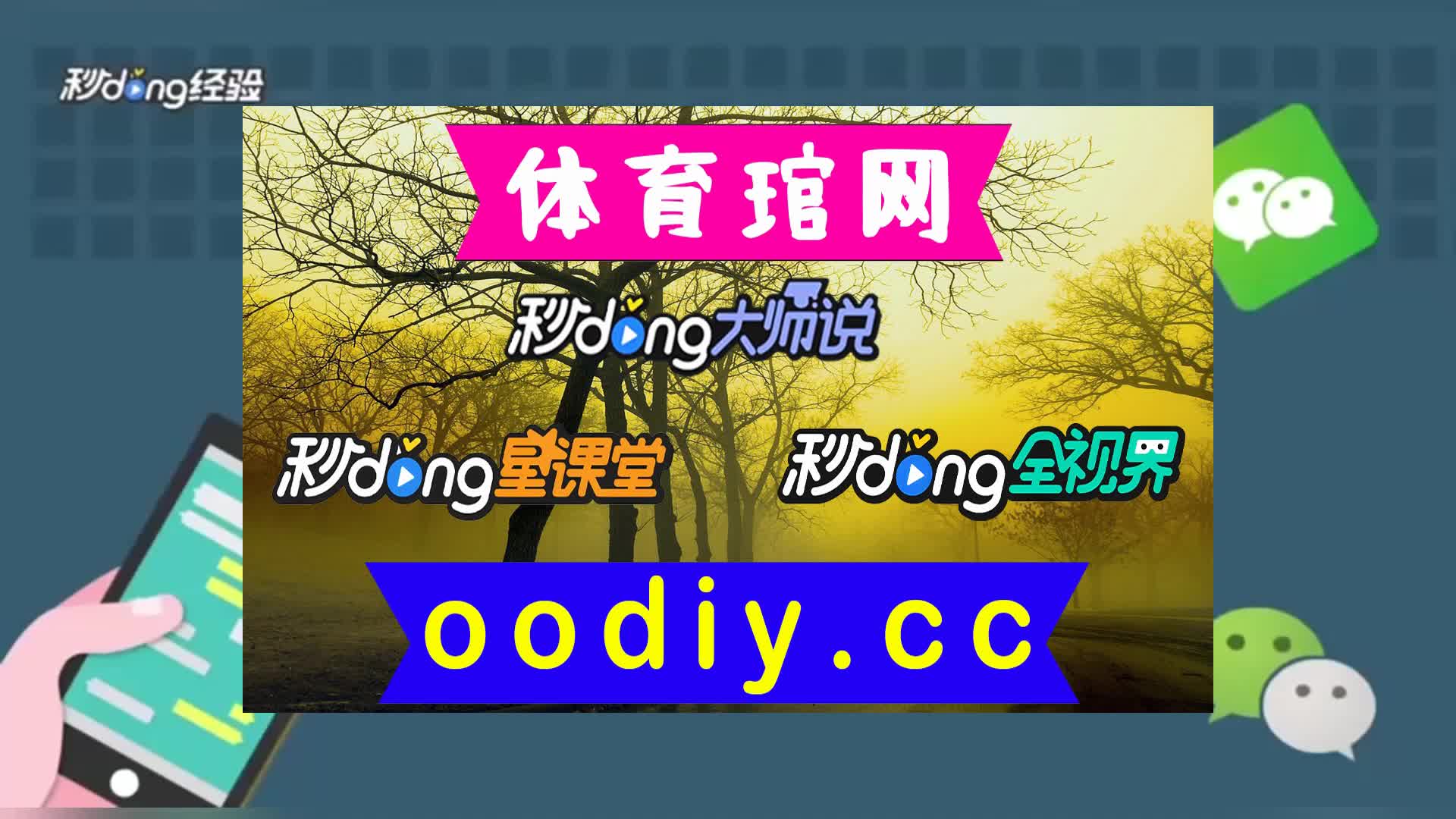 1秒秒懂富华53330vip在线登录平台