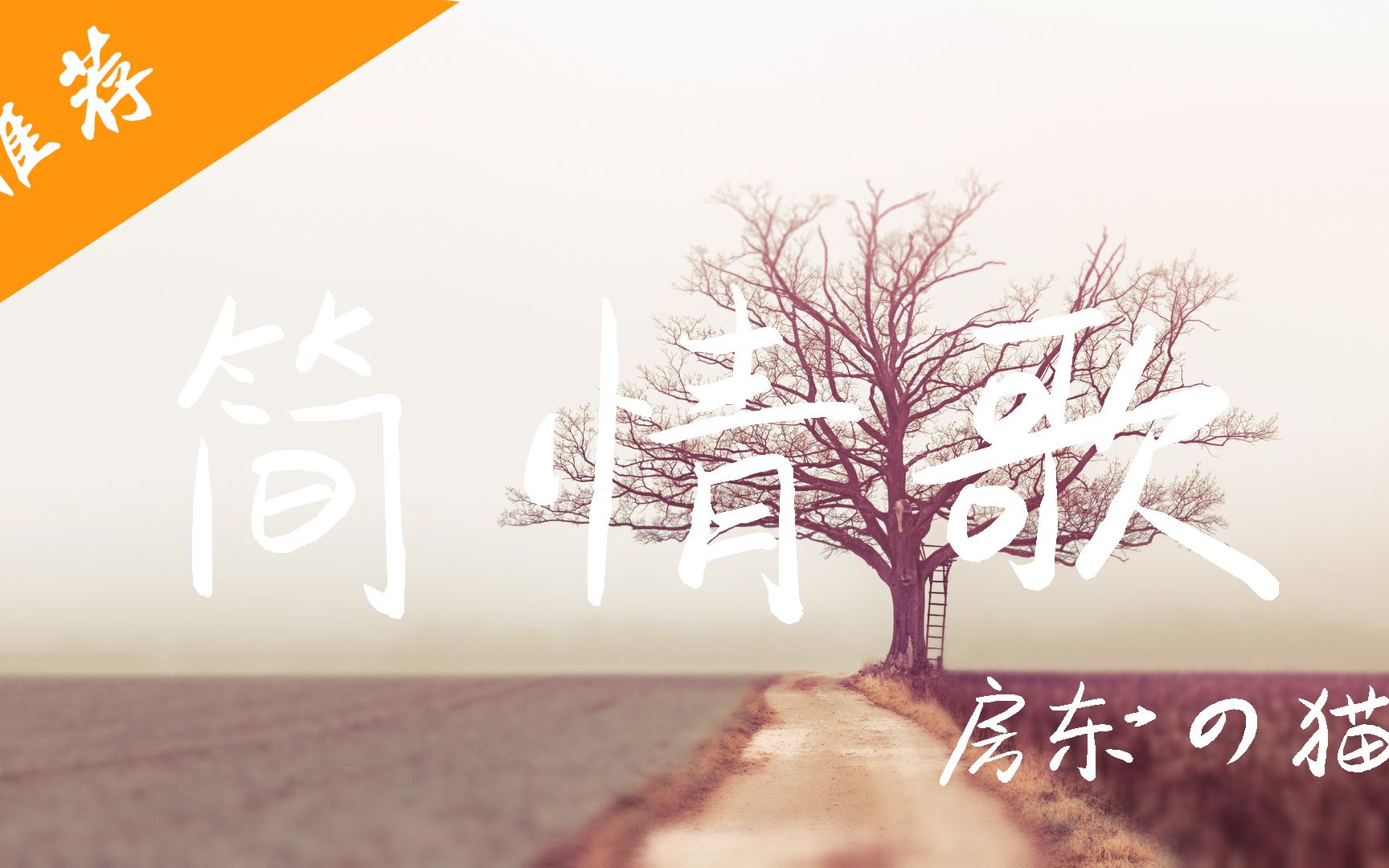 简情歌房东的猫好听的歌曲