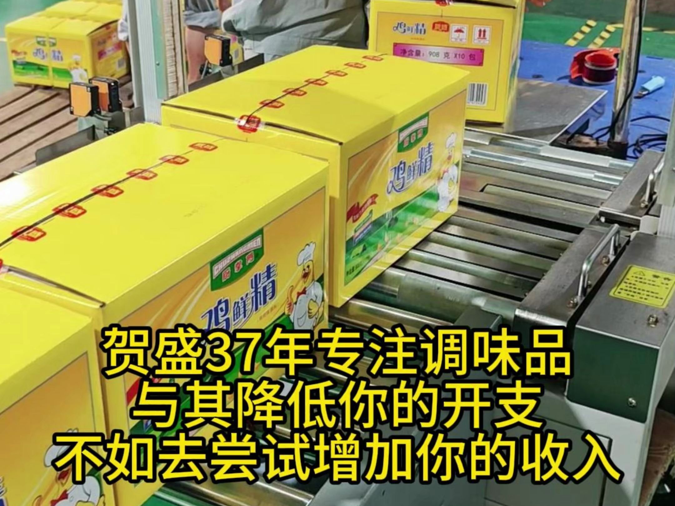 贺盛37年专注调味品与其降低你的开支不如去尝试增加你的收入哔哩哔哩bilibili