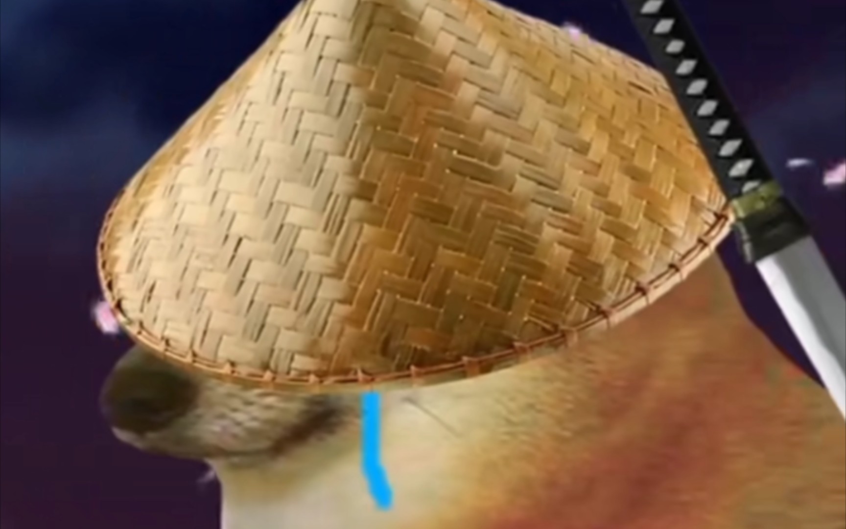 谢谢你,cheems,我想当个屯屯鼠._哔哩哔哩_bilibili