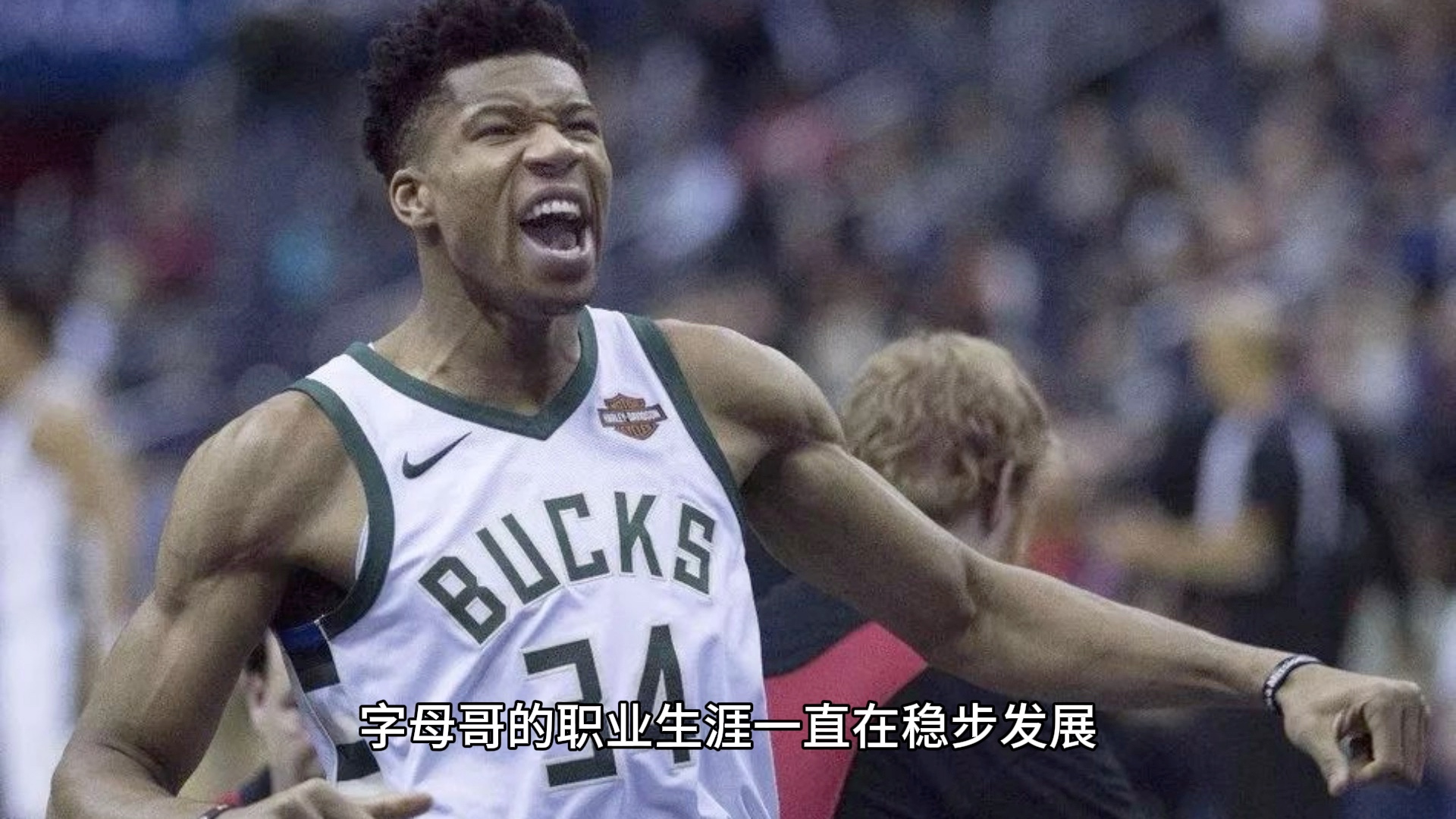 2连mvp得主 字母哥