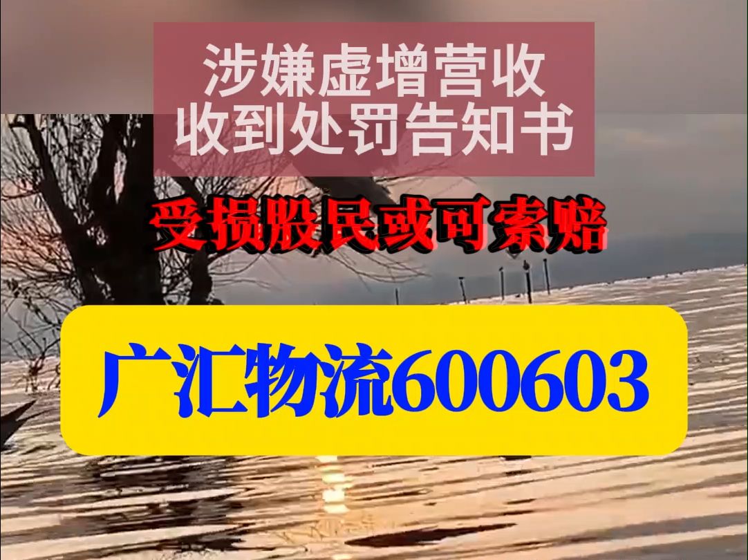 涉嫌虚增营收,广汇物流600603收到处罚告知书,受损股民或可索赔哔哩哔哩bilibili