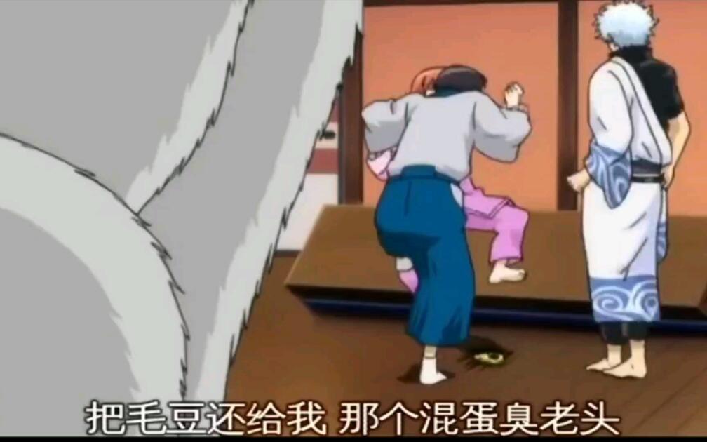 银魂定春到底是什么品种的狗狗_哔哩哔哩_bilibili