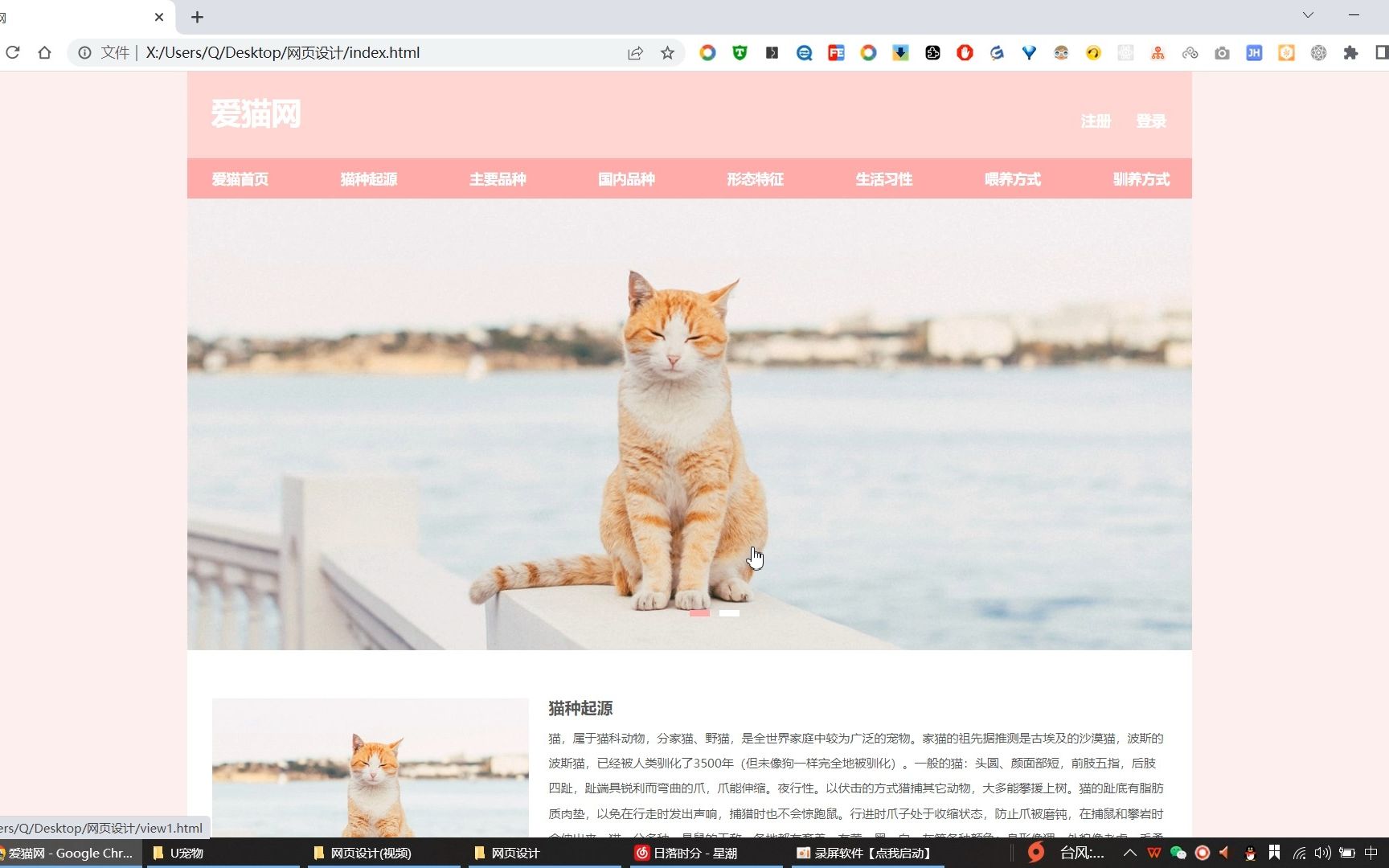 【HTML+CSS】宠物猫(10页) 网页设计实践作业 网页设计作业 网页制作作业 大学生网页作业 网页作业成品 网页作业模板哔哩哔哩bilibili