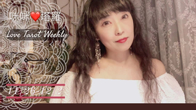 Mimi 晚安塔罗 星座每日运势 咪咪 塔羅 11 24 哔哩哔哩 つロ干杯 Bilibili