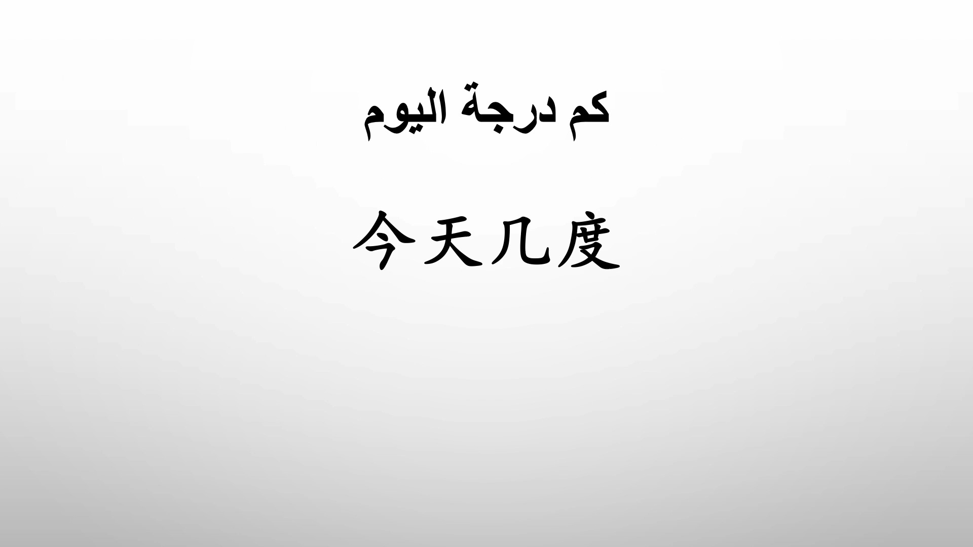 阿拉伯语速成 阿语入门轻松零基础日常用语1小时掌握300句2