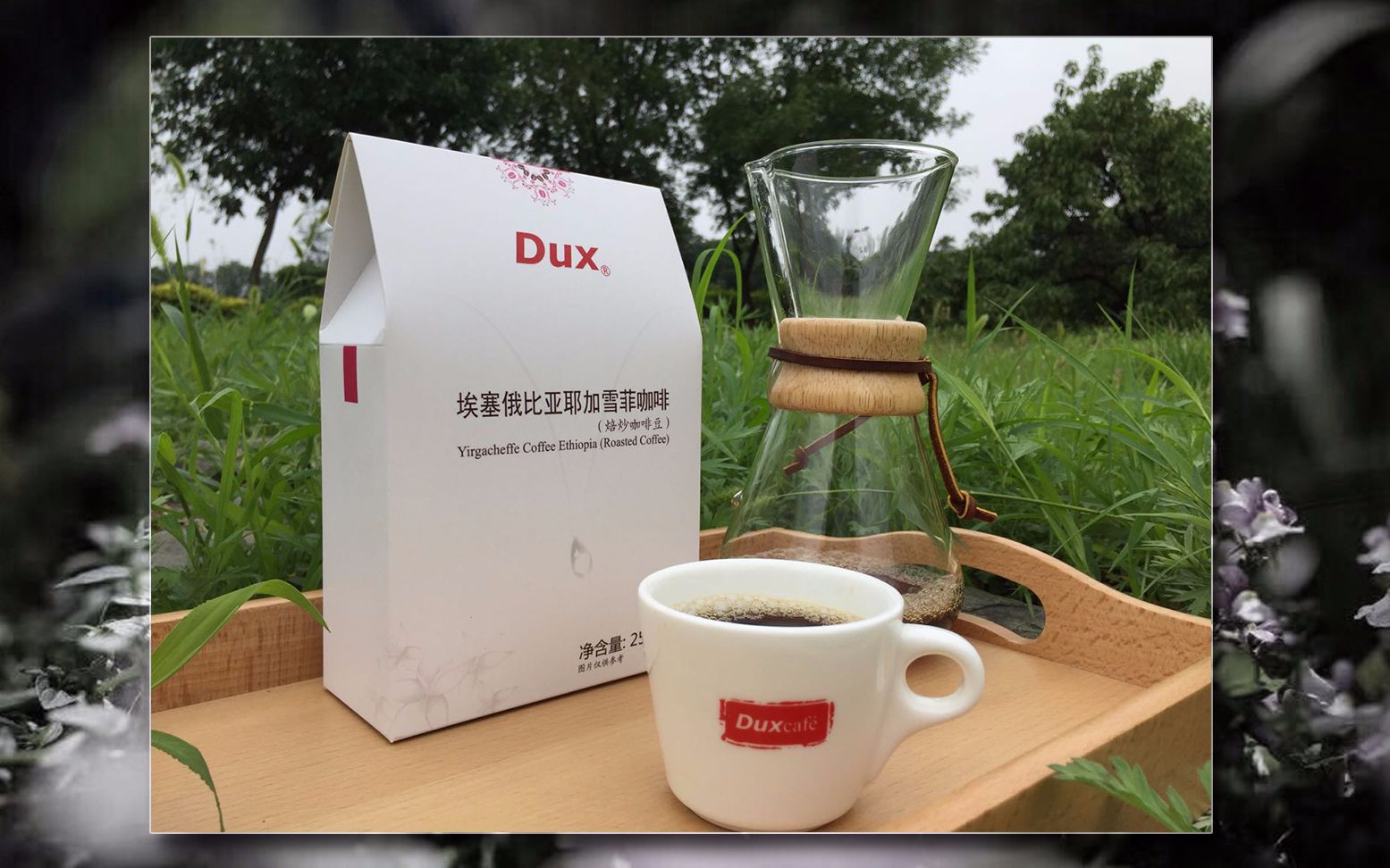 CHEMEX手冲咖啡制作方法哔哩哔哩bilibili