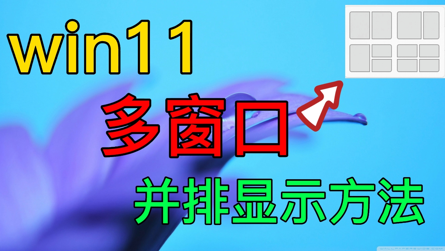 Win11多窗口并排显示方法哔哩哔哩bilibili