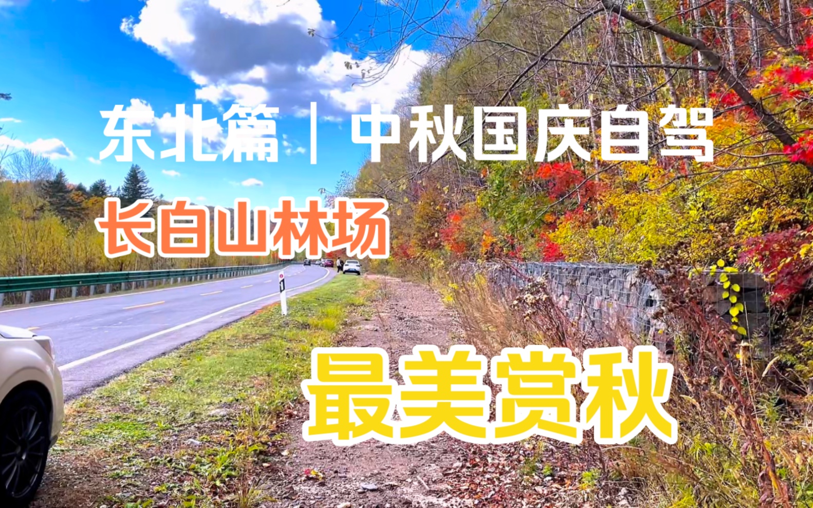 长白山的秋色太美,一起感受下路上的我风景哔哩哔哩bilibili