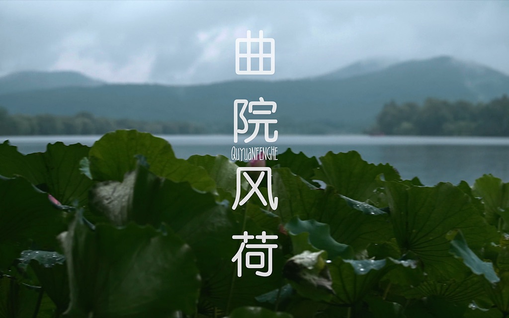 [图]曲院风荷｜杭州西湖十景之一