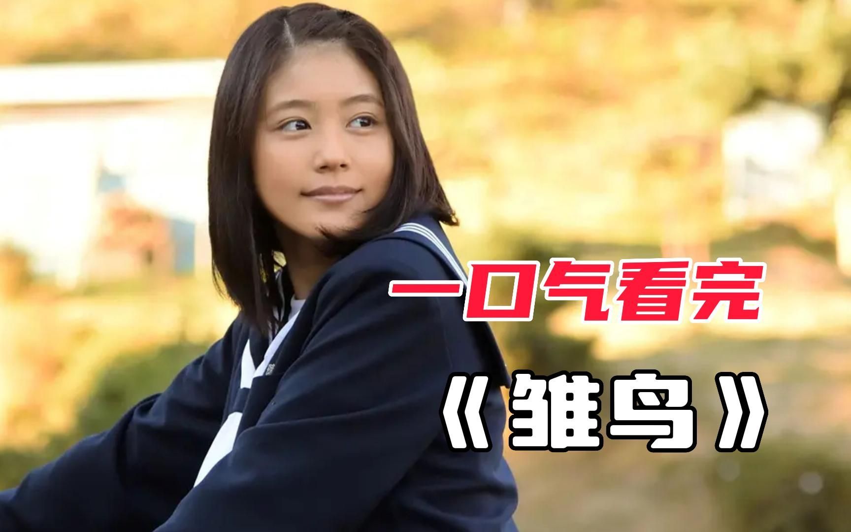 治愈日剧《雏鸟》,农民工割完稻子回去建筑工地,结果却失踪了!