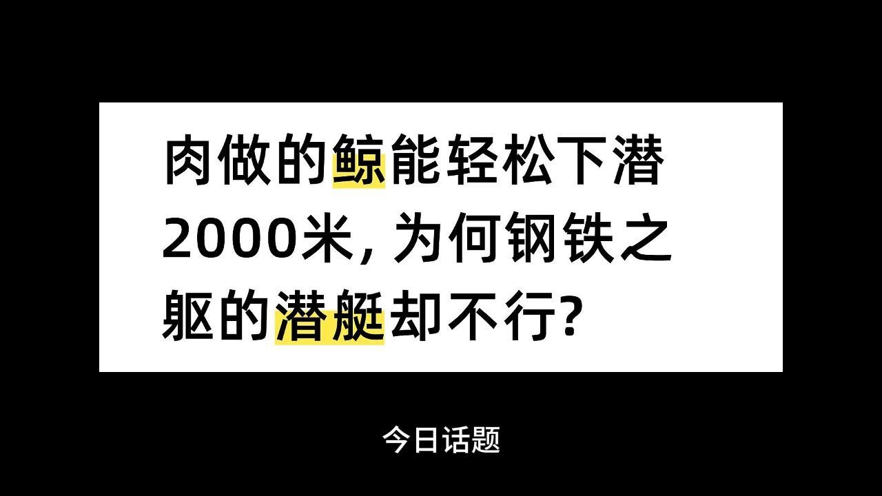 肉做的鲸能轻松下潜2000米,为何钢铁之躯的潜艇却不行?哔哩哔哩bilibili