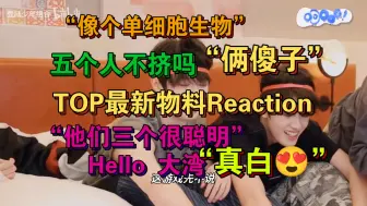 Скачать видео: 登陆少年最新物料reaction，聪明人遇上没头脑，有个笨笨的小孩直接碎掉了…