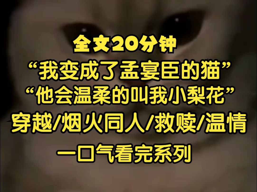 【完结】我穿成了孟宴臣捡回家的一只小猫,不是豪门大小姐也不是平民灰姑娘,只是一只无家可归的小猫而已,对了,他还给我起了名字,叫小梨花.哔...