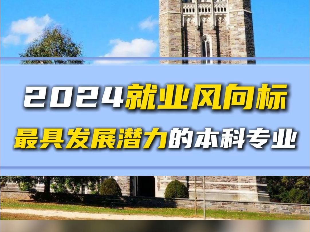 美国留学丨13个2024年最具发展潜力的本科专业【无忧留学】哔哩哔哩bilibili