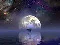 Moonlight Shadow 哔哩哔哩 Bilibili