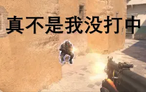 Download Video: 我冤枉啊！！！完美CSGO打人没伤害24.5.24