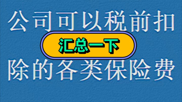 公司可以税前扣除的各类保险费,汇总一下哔哩哔哩bilibili