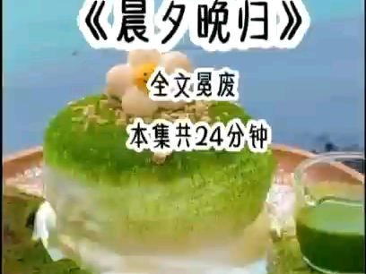 《晨夕回放》哔哩哔哩bilibili