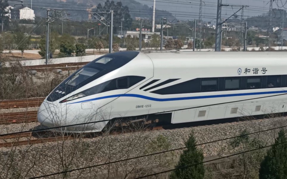 『稀有好货』全路仅5列的crh1e-ng型担当d3123出苍南站,车号1233