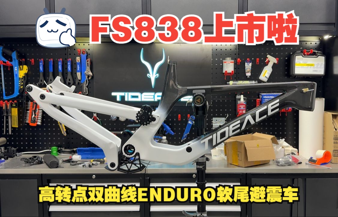 TIDEACE 泰迪斯 FS838高转点双曲线重型enduro软尾避震车架车架正式上市!碳纤维超高强度的重型enduro 29ER BOOST哔哩哔哩bilibili