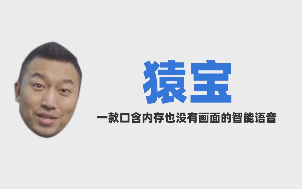 【猿宝】一款口含内存也没有画面的智能语音