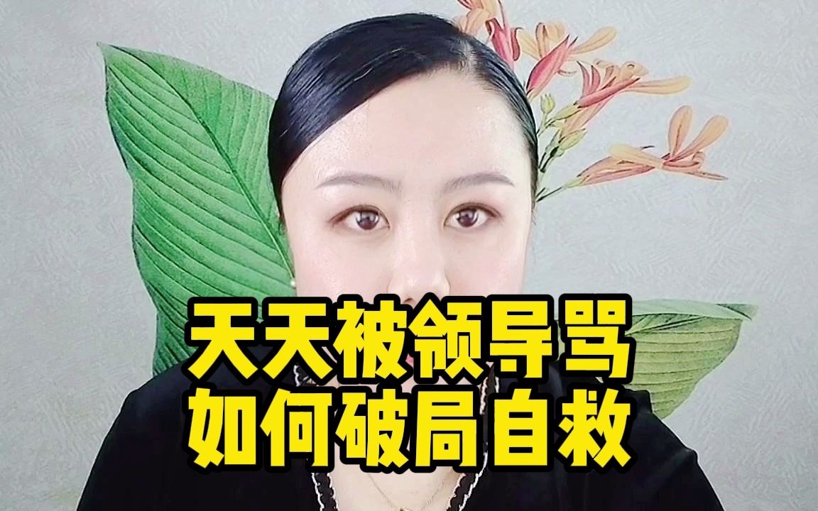 天天被领导骂 如何破局自救哔哩哔哩bilibili