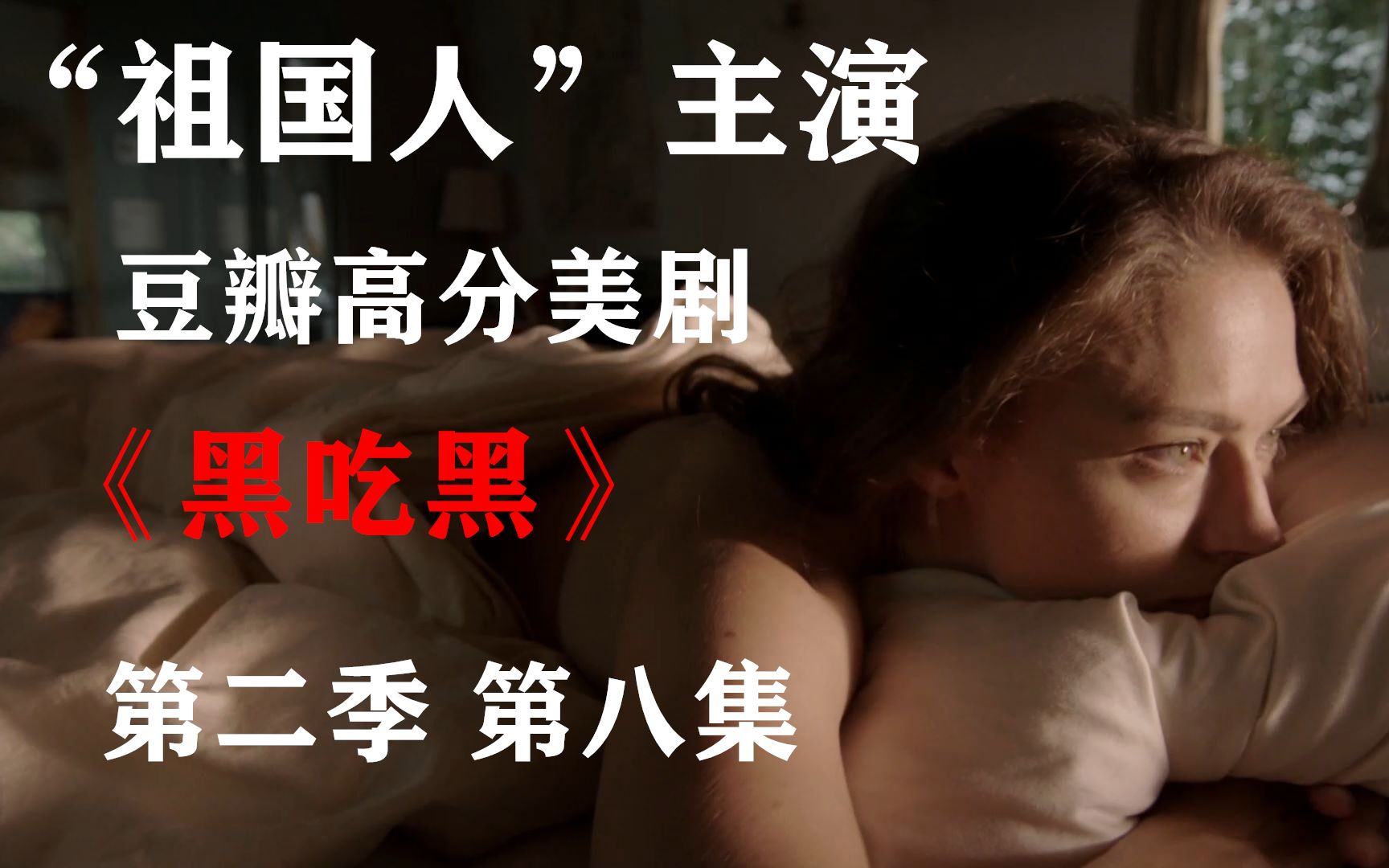 【卷毛】“祖国人”演员主演豆瓣高分美剧《黑吃黑》第二季第八集哔哩哔哩bilibili