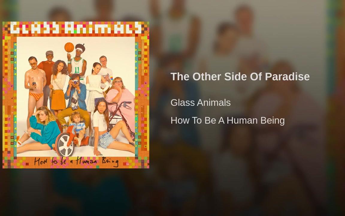 [图]【油管搬运】Glass Animals - The Other Side Of Paradise (Audio version)