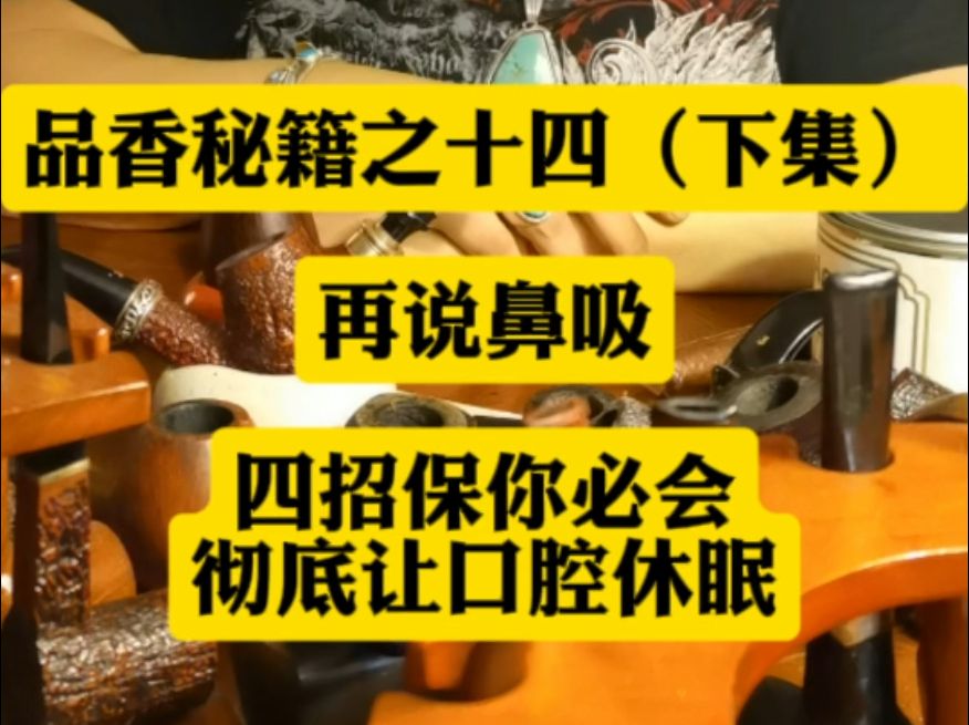 品相秘籍之十四(下集)再说鼻息 四招保你会 彻底口腔休眠哔哩哔哩bilibili