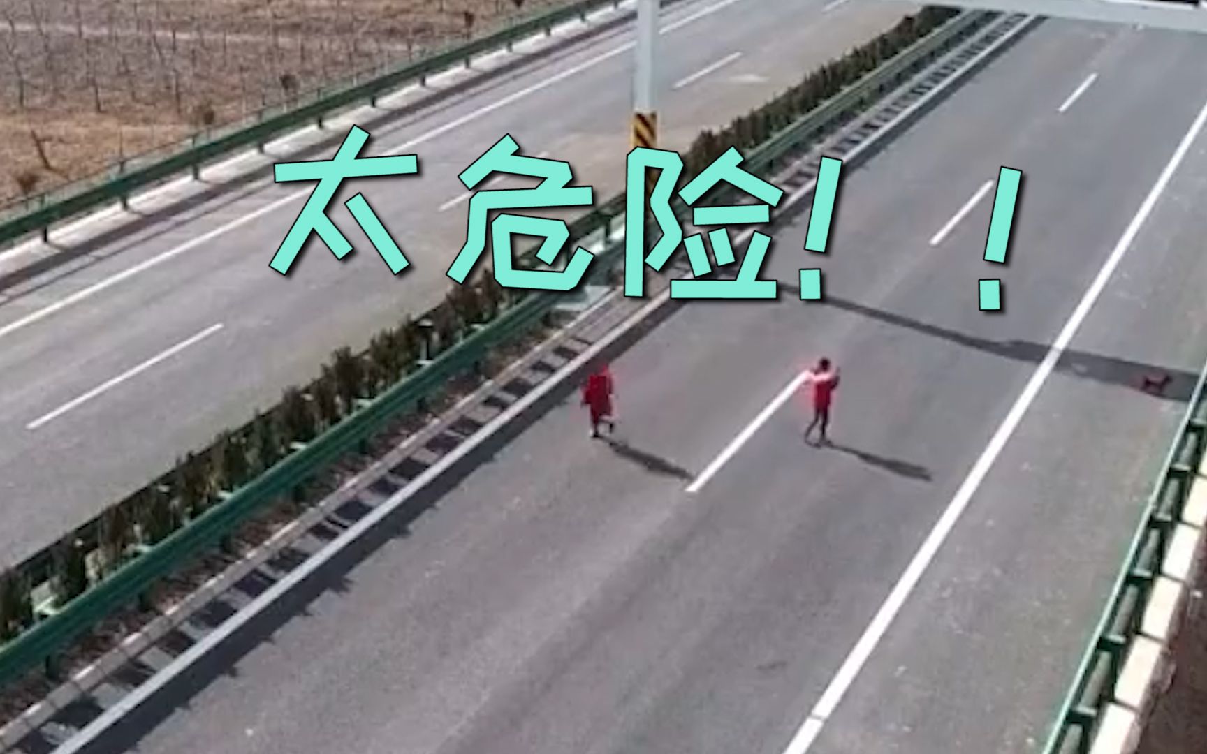 太危险女子因无聊带娃上高速公路遛狗还拍起了小视频