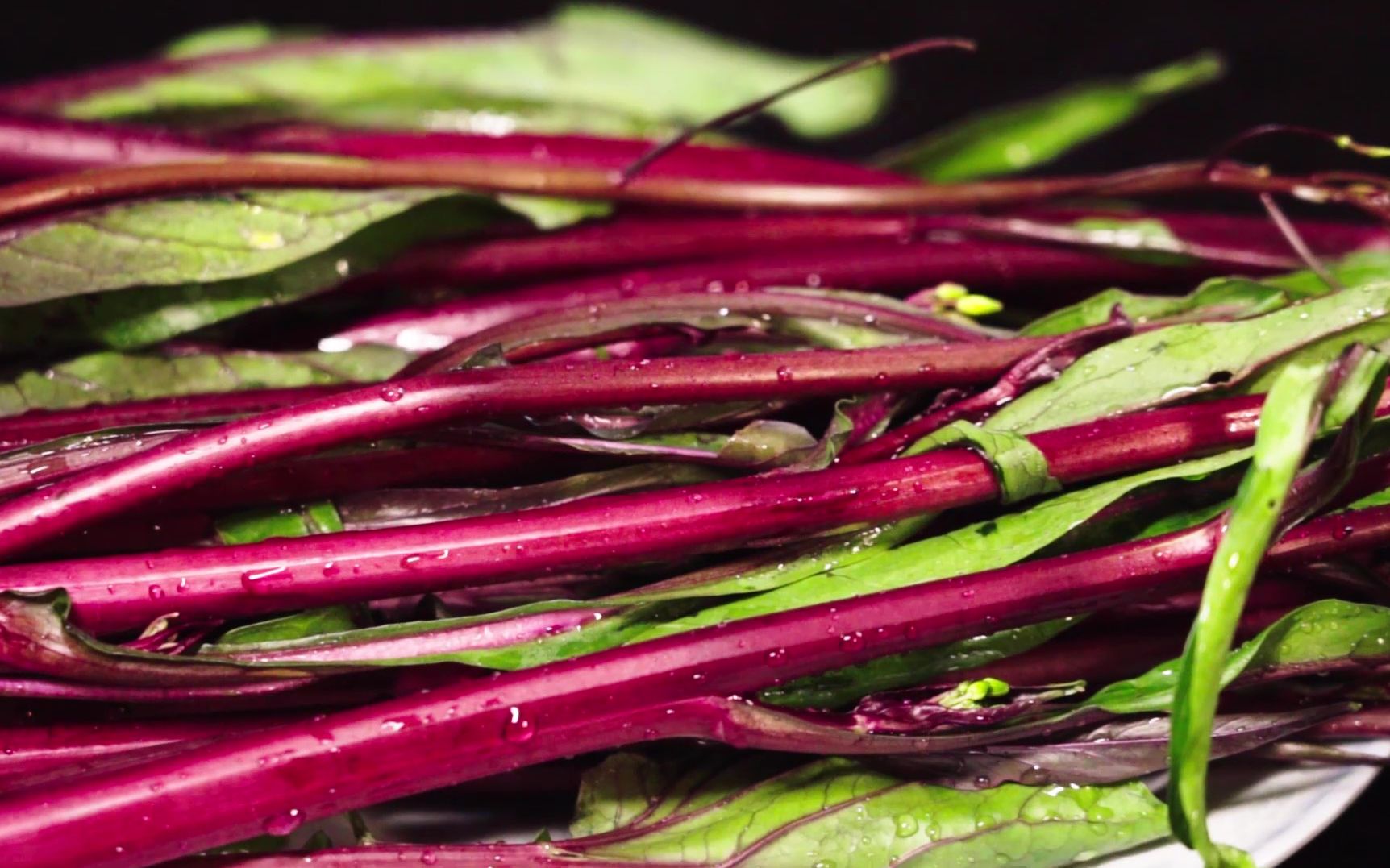 活动  在唐代就是名菜,碧中带紫的红杆菜,湖南江西人喜欢吃