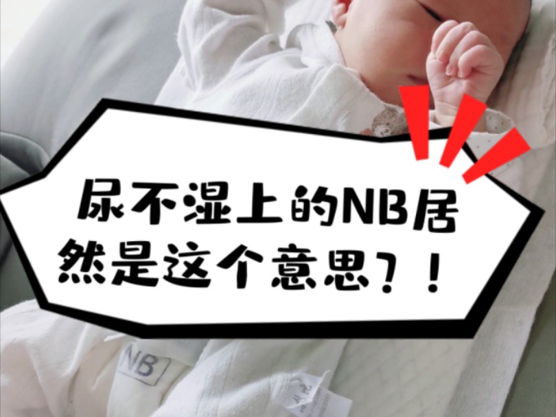 尿不湿上的NB居然是这个意思…哔哩哔哩bilibili