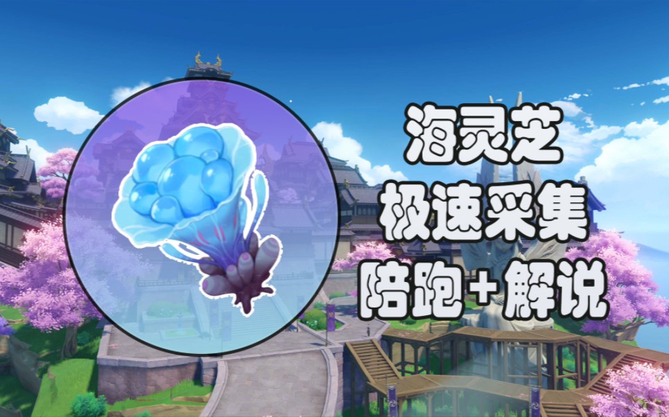 【原神】海灵芝采集路线