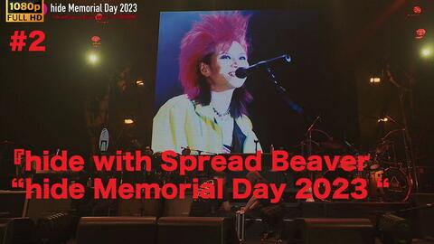 ランキング上位のプレゼント with hide Spread VIP Day Beaver