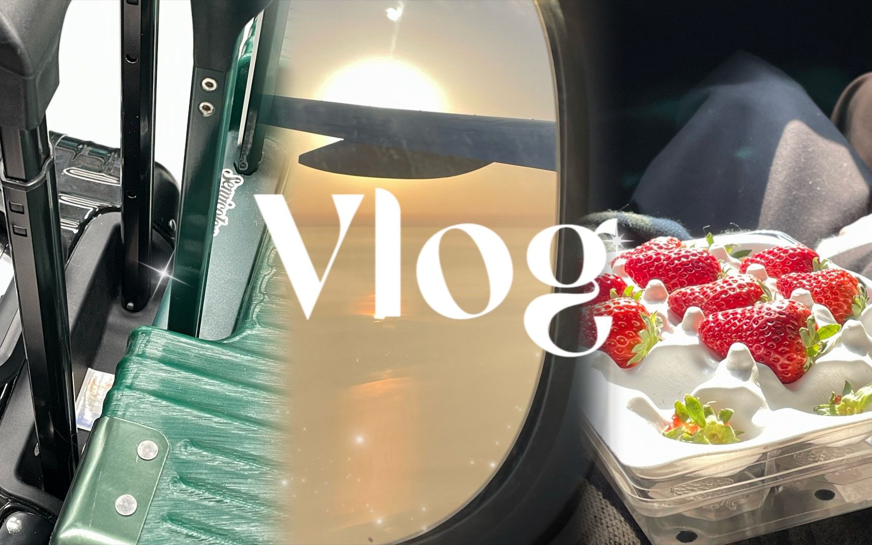 Vlog 