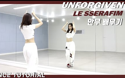 [Aloha/Savage Angels] LE SSERAFIM 'UNFORGIVEN' 舞蹈镜面分解教学哔哩哔哩bilibili