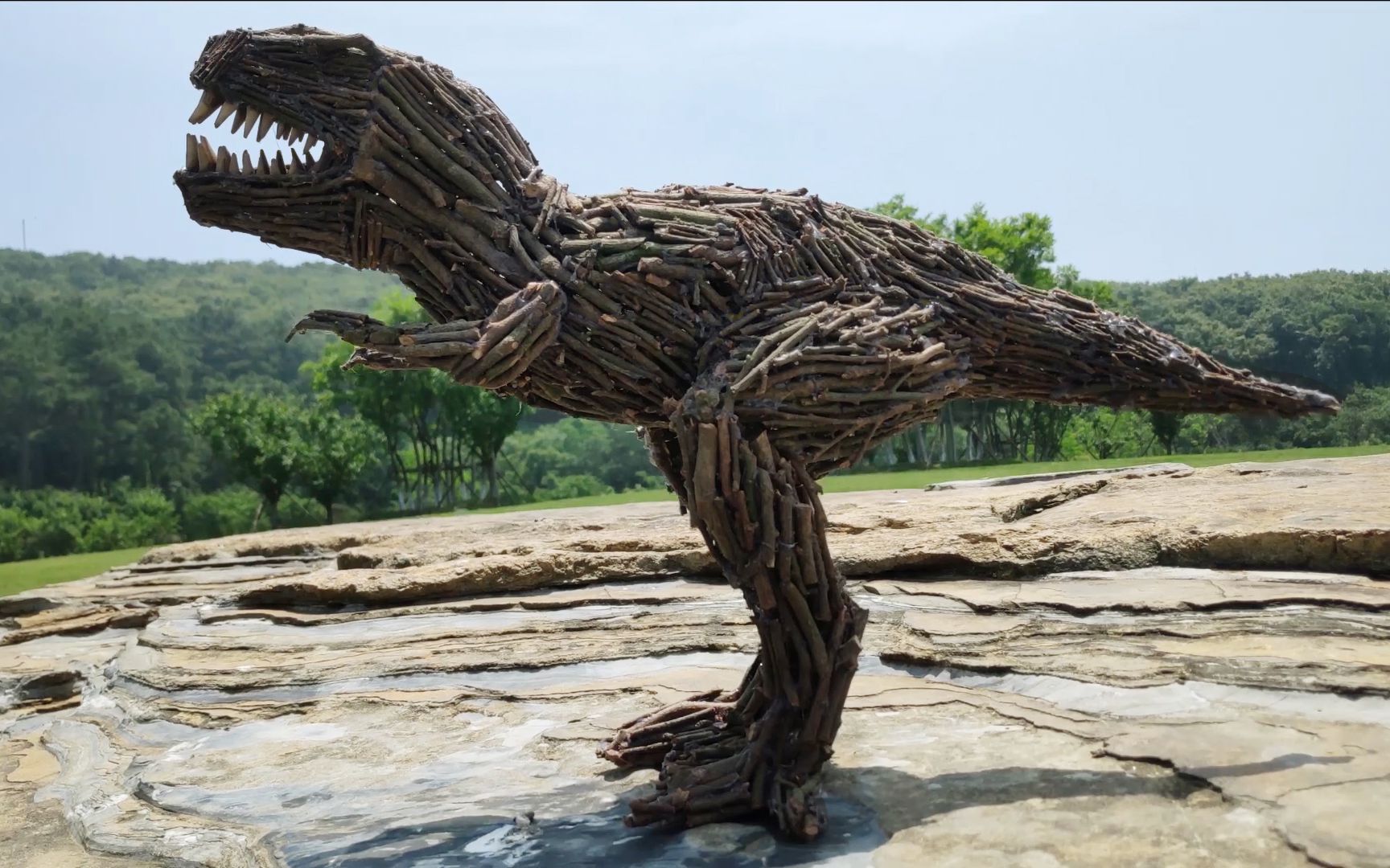 你能想象这只恐龙是用树枝做的吗牛人小哥巧手diy毒液版暴龙