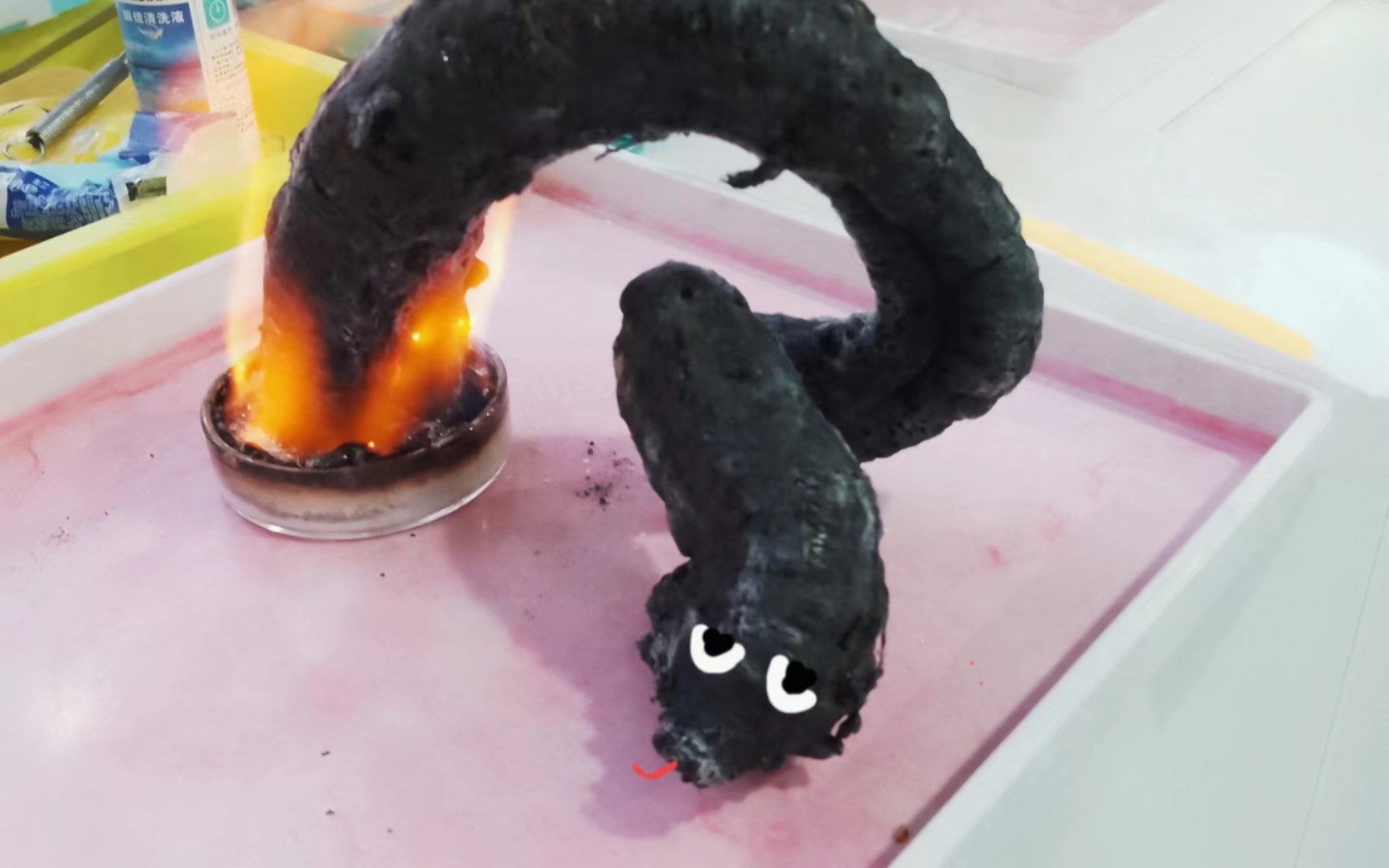 "法老之蛇"