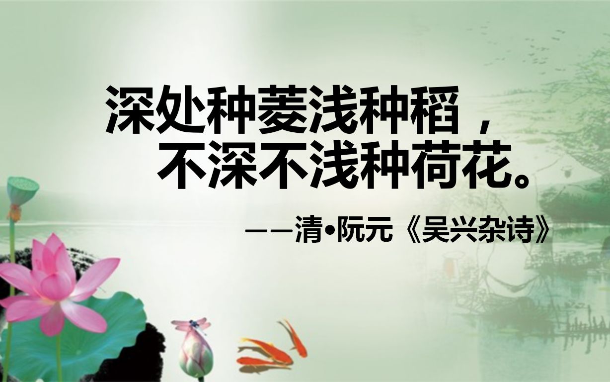 深处种菱浅种稻,不深不浅种荷花.——阮元《吴兴杂诗》诗歌鉴赏哔哩哔哩bilibili