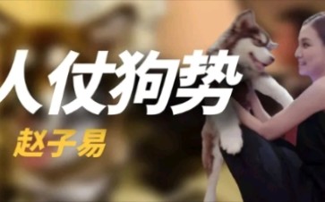 “狗保姆”赵子易,熬走王思聪多任女友,屹立不倒哔哩哔哩bilibili