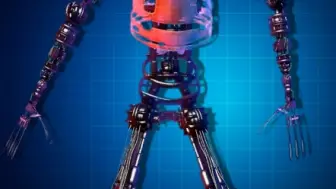 Download Video: JR'S Endoskeleton